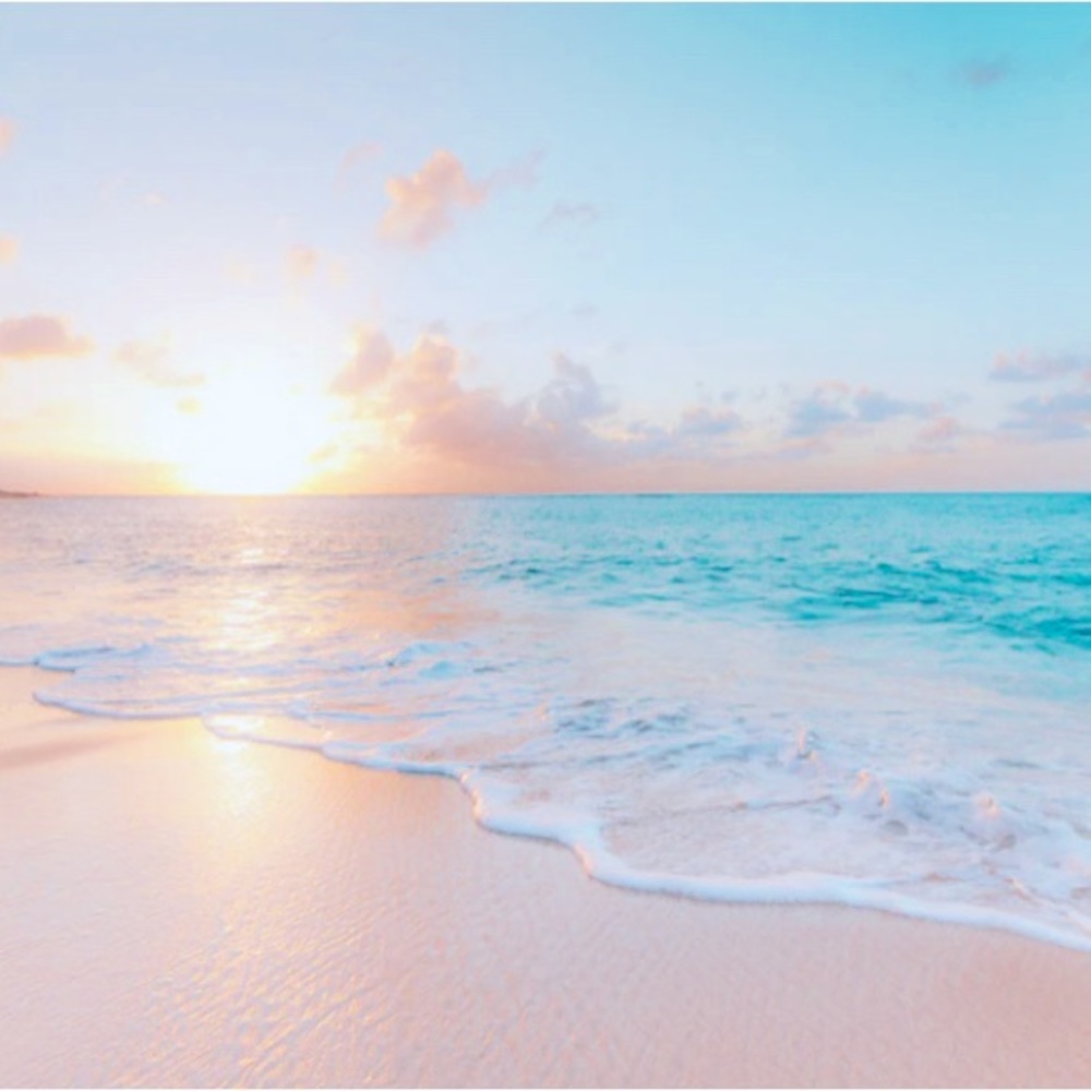 Meet your Posher, Nina